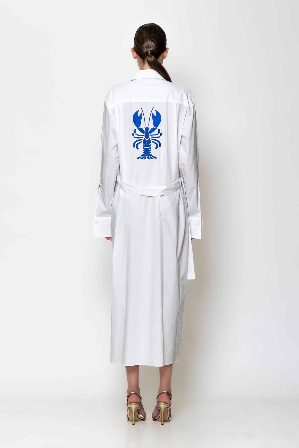 Popline embroidered shirt dress