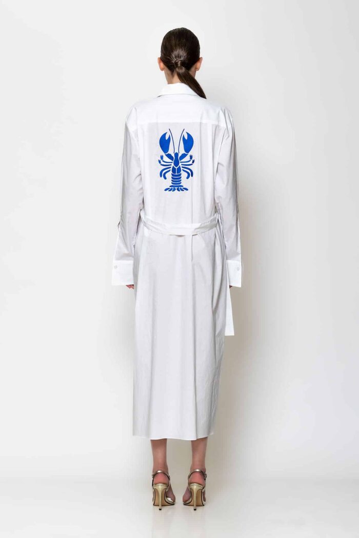 Popline embroidered shirt dress