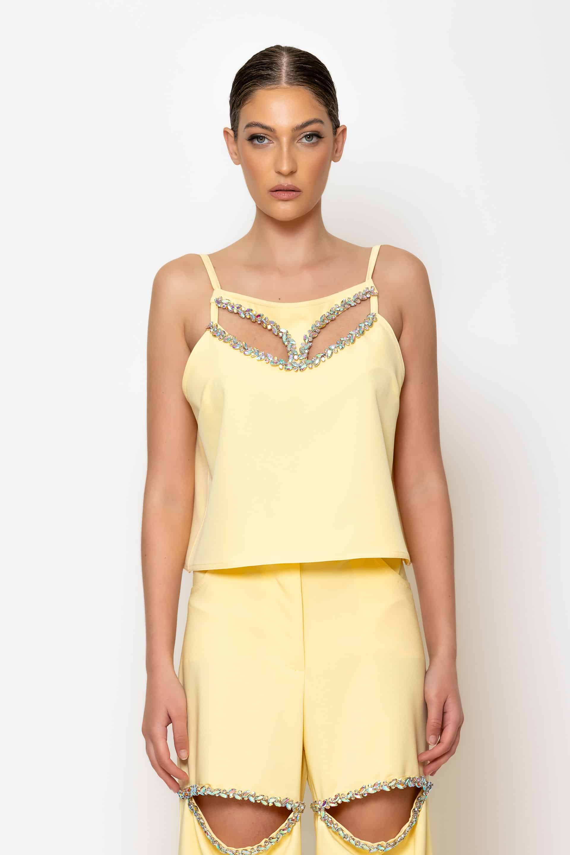 Cropped crystal-embellished cut out top