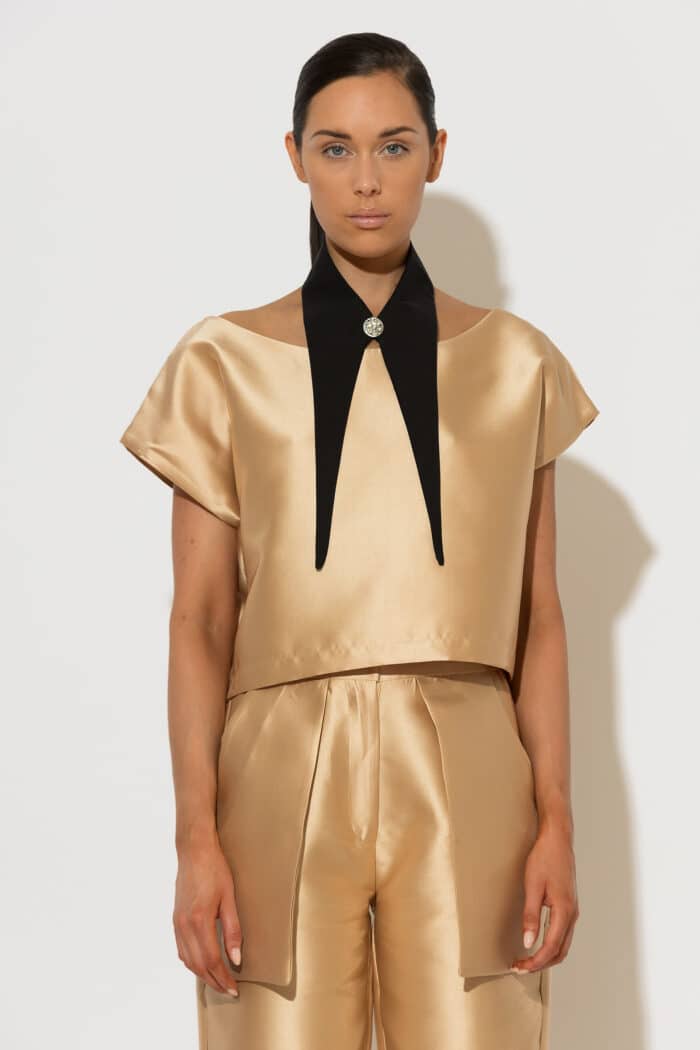 C-THROU Detachable Collar Taffeta Top